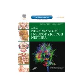 Atlas neuroanatomii i neurofizjologii Nettera wyd.II