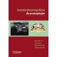 Anatomia ultrasonograficzna dla anestezjologów (Sonoanatomy for Anaesthetists) Lin, Gaur, Jones, Ahmed