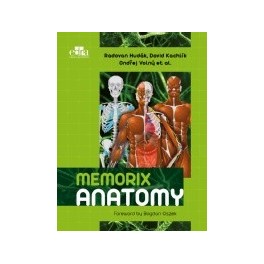 Memorix Anatomy NOWOŚĆ