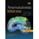 Neuroanatomia kliniczna NOWOŚĆ