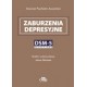 Zaburzenia depresyjne. DSM-5. Selections