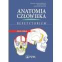 Anatomia człowieka Repetytorium Ćwiczenia