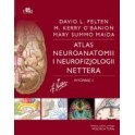 Atlas neuroanatomii i neurofizjologii Nettera WYDANIE 3 NOWE