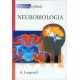 Neurobiologia Krótkie wykłady PWN