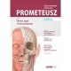 PROMETEUSZ Atlas Anatomii Człowieka Tom III. Głowa i neuroanatomia